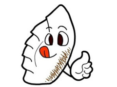 【週5のシフト固定、安定収入】時給$29.33