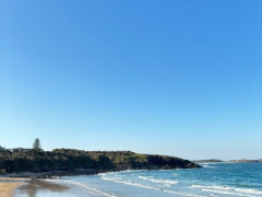 【Coffs Harbourでベリーピッカー募集】🫐🍃