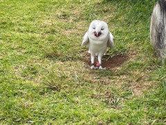 🌟 ＼7月・8月スタート！住み込みホテル求人 大募集✨／
