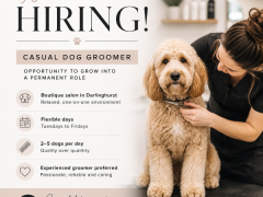 Dog Groomer Wanted !!