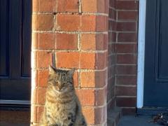 ＼すぐスタートできる方／住み込みF＆Bスタッフ