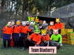 ラズベリー&ブルーベリーピッカー募集中！