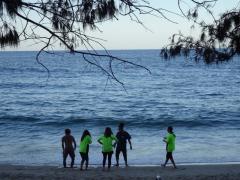 Fruits picker 募集中です！