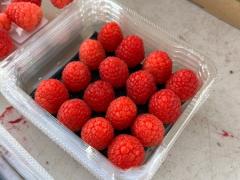 Raspberry picker hiring