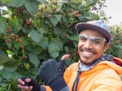 2026 Raspberry Picker Wants