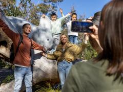 高時給　30-35ドル　ツアーガイド募集！