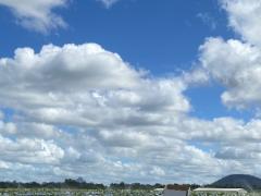 🌟 ブリスベン近郊ファーム求人