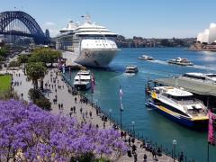 ⭐️Circular quey近郊でのホームケアラー 募集⭐