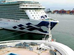 Princess cruise ship vacancy