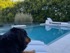 Live-in housekeeper/cook