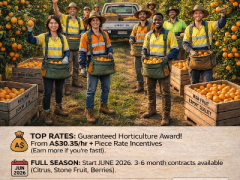 FRUIT PICKING JOBS STARTS HERE