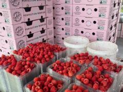 【簡単作業】セカンド、サードビザを取りたい方！