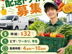 朝だけ勤務！野菜デリバリードライバー募集🥦🚐