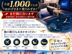ANAビジネスクラス日本↔︎豪州が片道1,000ドル台‼️