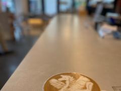 hiring senior barista