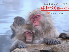 湯巡りが人気の温泉街のリゾートバイト！！語学が活かせるチャンスあり！！