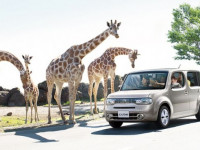 Nissan Cube Z12　現モデル販売開始しました！！