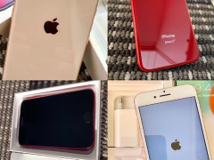 iPhone 8, Red, Gold