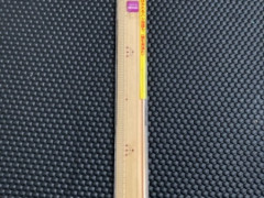 30cm 定規
