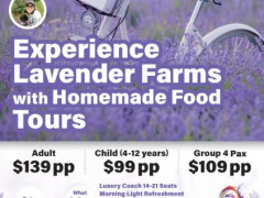 Lavender Farm & Food tours
