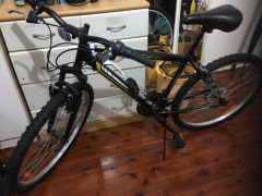 $200 美品自転車