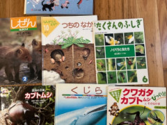 児童本　カブトムシ、その他各３ドル（セットで１５ドル）