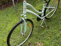 自転車 $80 Giant社