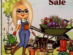 Plant for sale / 観葉植物 販売中