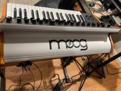 Moog Sub37 w/Semi Rigid $1000