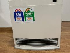 Rinnai Natural Gas heater