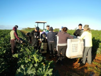 A Fun Variety of Farm Jobs!!