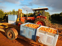 A Fun Variety of Farm Jobs!!