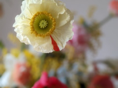 期間限定✿春のお花でナチュラルブーケ作り✿ワークショップ