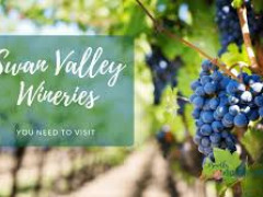 Swan Valley Day Tour
