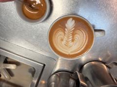 バリスタになりたい人☕️