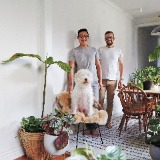 theplantsociety