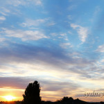 Before Sunset
