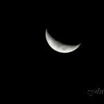The Crescent