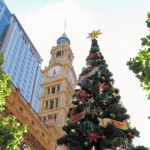 Xmas Tree in Martin Place Day & Night