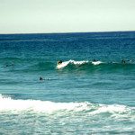 行きたいところ　［Cronulla］