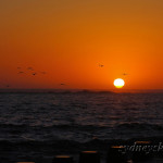A Happy New Year 2011