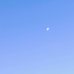 夕暮れと月