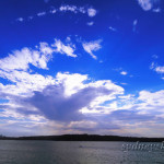 BLUE & WHITE