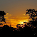Sunset for Lovers