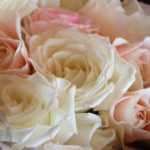 atelier blancからのプレゼント♪  -お花のコンシェルジュ atelier blanc-