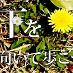 下を向いて歩こう　～Florist Hana～　Vol.11　かすみ草