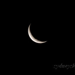 The crescent