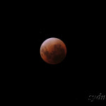 Total Lunar Ecripse 皆既月食2011　(2)