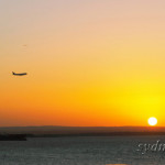 The Best of 2011 (1)
