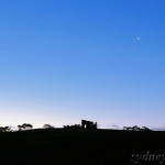 The Best of 2011 (2)